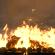 Illustration for article titled Everything* In The Witcher 3, Ranked